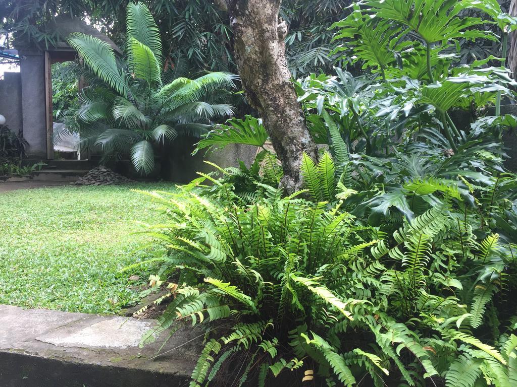 Hotel Kiyan Teges Ubud Exterior foto